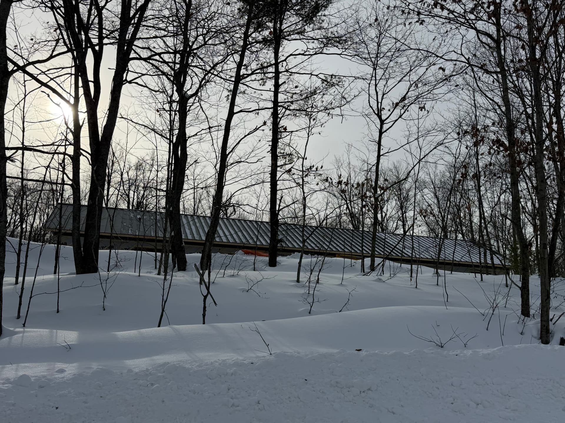 Standing seam metal roof — Muskoka